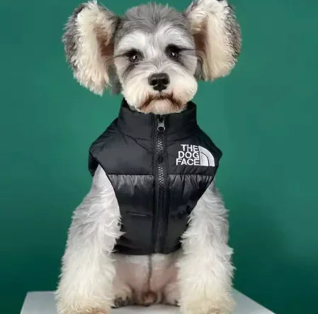 Puppy Warm Black Down Sleeveless Jacket