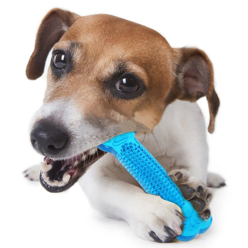 Pet Dental Chew Toy