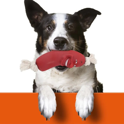 Pet Dental Chew Toy